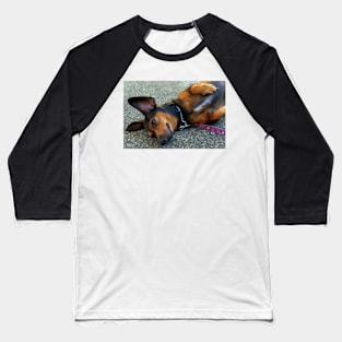 happy dog Baseball T-Shirt